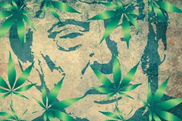 A drawing of Donald Trump overlaid with Cannabis leaves